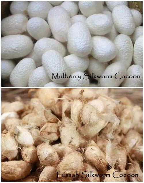 Do You Know The Difference Between Mulberry And Tussah Silk And Why We Only Choose Dupion Cocoons For Our Silk Duvet?