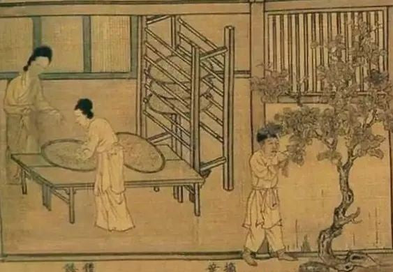 Sericulture - A Timeless Treasure from China