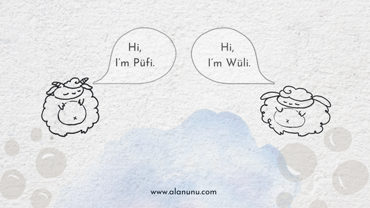Wool or Cashmere