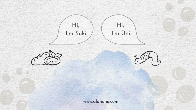 Is Silkworm Actually A Worm?