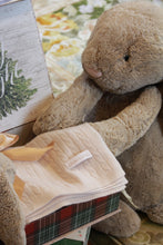 Load image into Gallery viewer, Cashmere Baby Blanket

