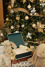 Load image into Gallery viewer, Cashmere Baby Blanket
